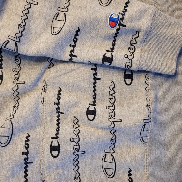 🍁CHAMPION Hoodie Pullover Sweatshirt Boys Large Gray - Picture 2 of 8